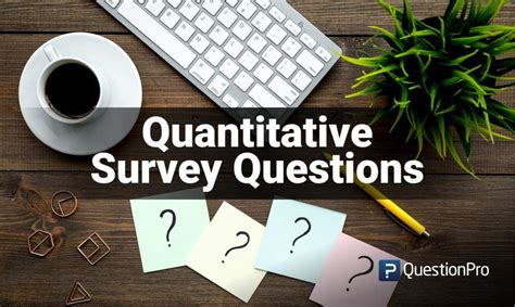 3 quantitative questions|quantitative question meaning.